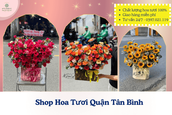 Hoa Tươi Tân Bình Giá Rẻ – Hoa Sinh Nhật, Hoa Khai Trương, Hoa Chia Buồn